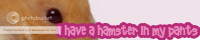 I have a Hamster in my Pants! banner