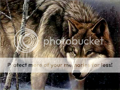 الذئب ... الذئب ... الذئب... Wolf-Hunt
