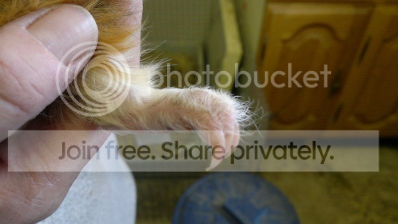 2012-04-14-348.jpg