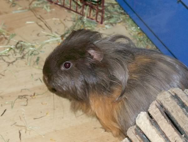 2010-05-18roger.jpg