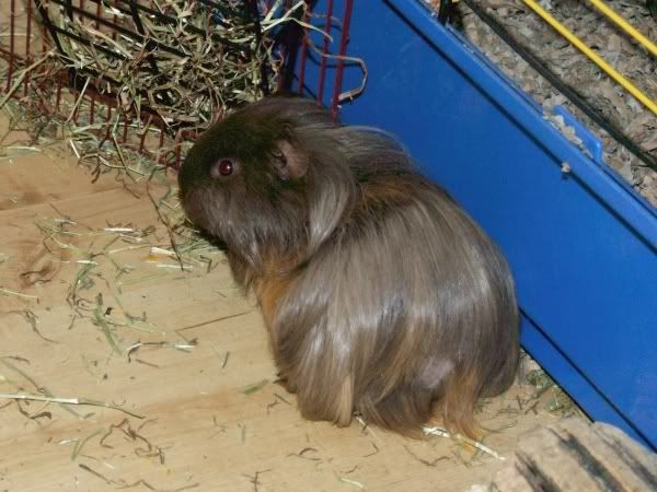 2010-05-18roger5.jpg