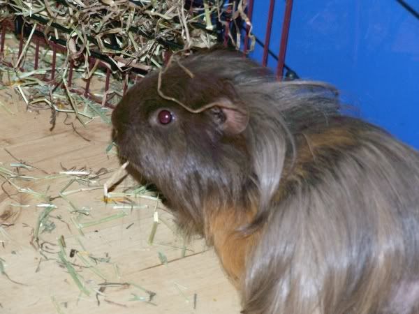 2010-05-18roger6.jpg