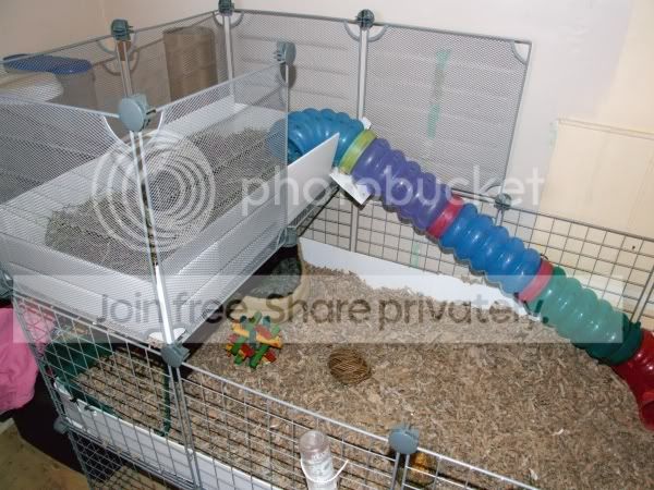 2010-05-22cage.jpg