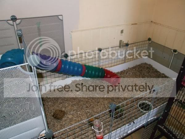 2010-05-22cage2.jpg