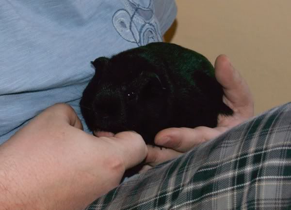 2010-06-12pearl2.jpg