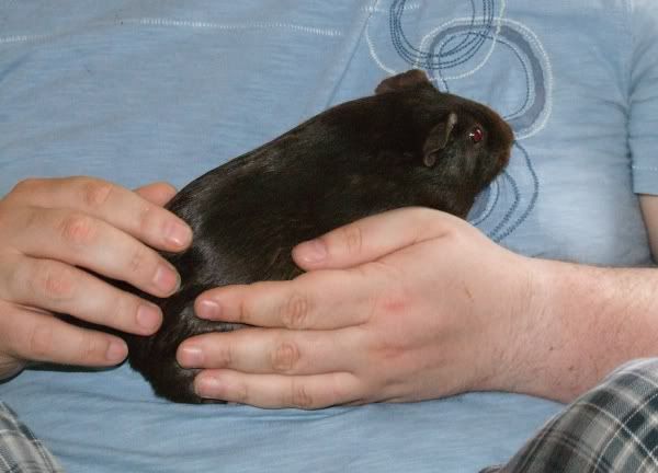 2010-06-12polly.jpg