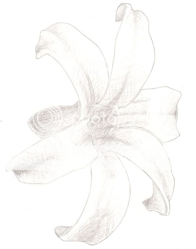 Studio Watermarks Hyacinthsketch