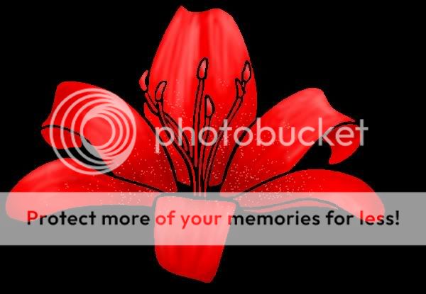 Watermarks: Post Beta Lily-1