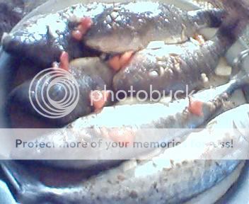 لتعليم البوتات الاكل السمك المشوى مع الرز _CA2233