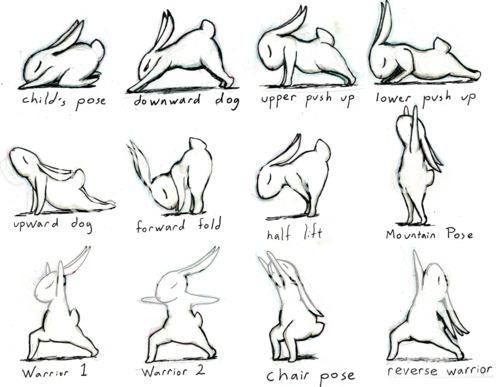 Happy New Year – Here Are Some Rabbits Doing Yoga | Apple Tells All