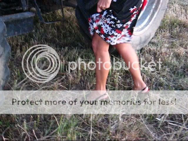 Photo Sharing and Video Hosting at Photobucket