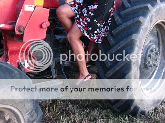 Photo Sharing and Video Hosting at Photobucket