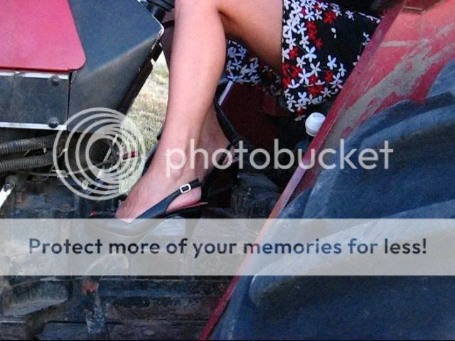 Photo Sharing and Video Hosting at Photobucket