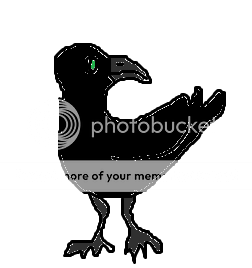  photo crow_zpskkcs51a7.png