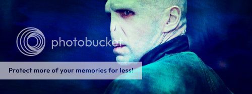 Not A Second Rate Hero Lord-Voldemort-Banner-lord-voldemort-17768175-800-300-1