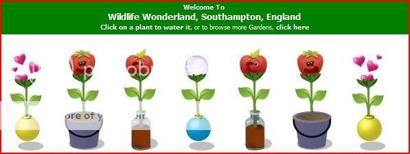 Wildlife Wonderland, Southampton UK: Linda and Nicolle's Garden Journal Symmetricalgardenscreenshot