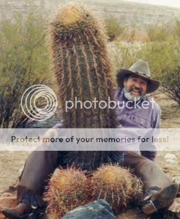 me ha crecido 4 centrimetros -el cactus digo- (cactus de planta) Cactus_penis