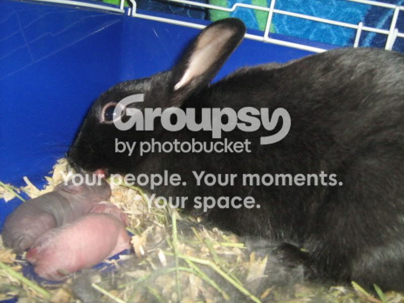 Picture017.jpg
