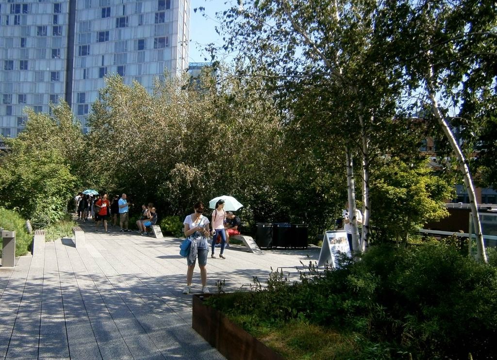 photo 15_way_zpsvemk01r4.jpg