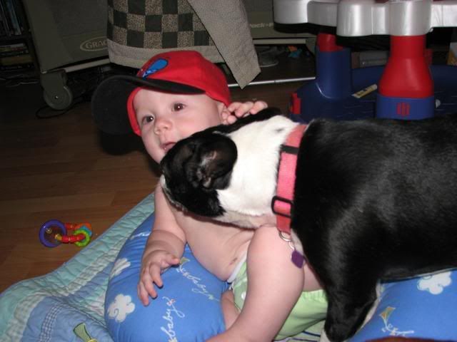 Photo Sharing and Video Hosting at Photobucket