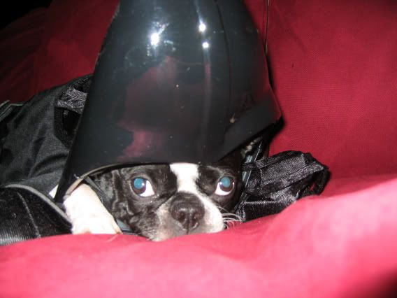 Image hosted by Photobucket.com