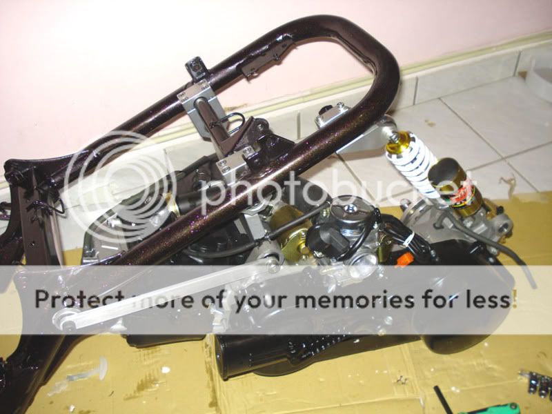 Ruckus ! dorby style.///miami fl - Honda-Tech - Honda ... 09 honda ruckus wiring diagram starter 