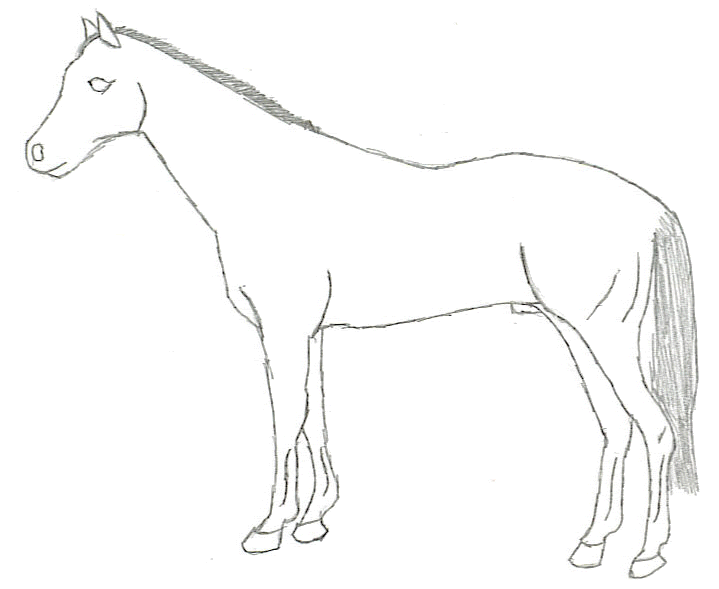 Horse Standing Sketch gif by Zalva | Photobucket