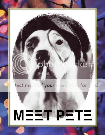 Famous animals MeetPete