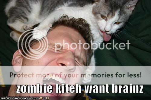 Dirteh Picturez - Page 2 Funny-pictures-zombie-kitten-cat