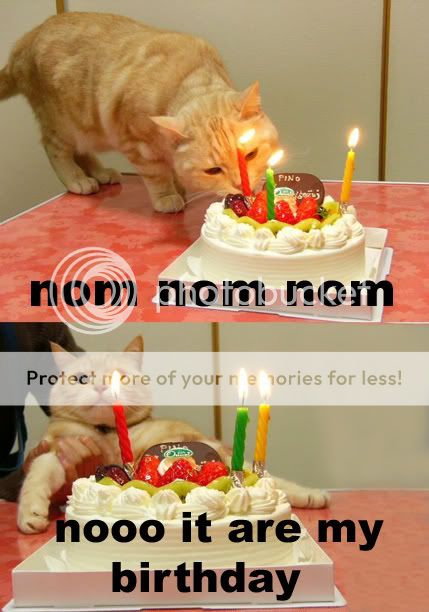 Happy Birthday. Nom-nom-nom