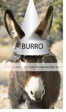 010914_ca_burros.jpg