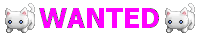 Wanted Kitties banner
