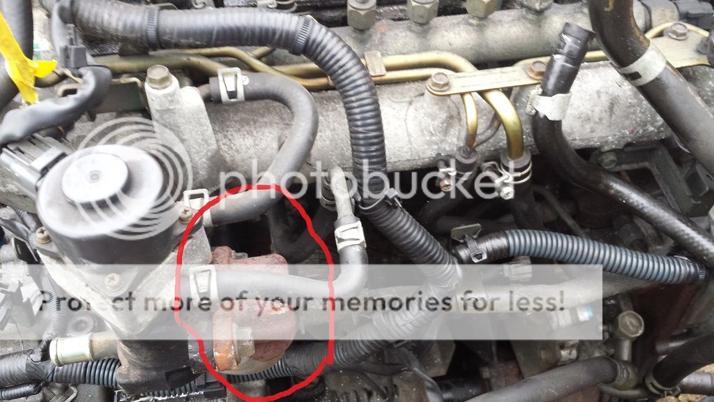 UK Nissan X-Trail Owners Forum • View topic - blanking egr