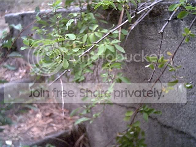 example