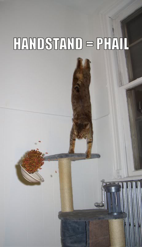 earthquaaaaaakerw63.jpg