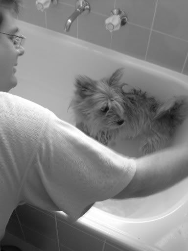 charlie loves baths