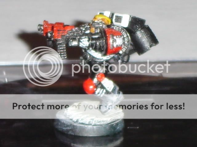 DSC00365.jpg