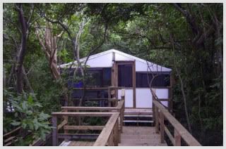 Eco tents at Maho Bay