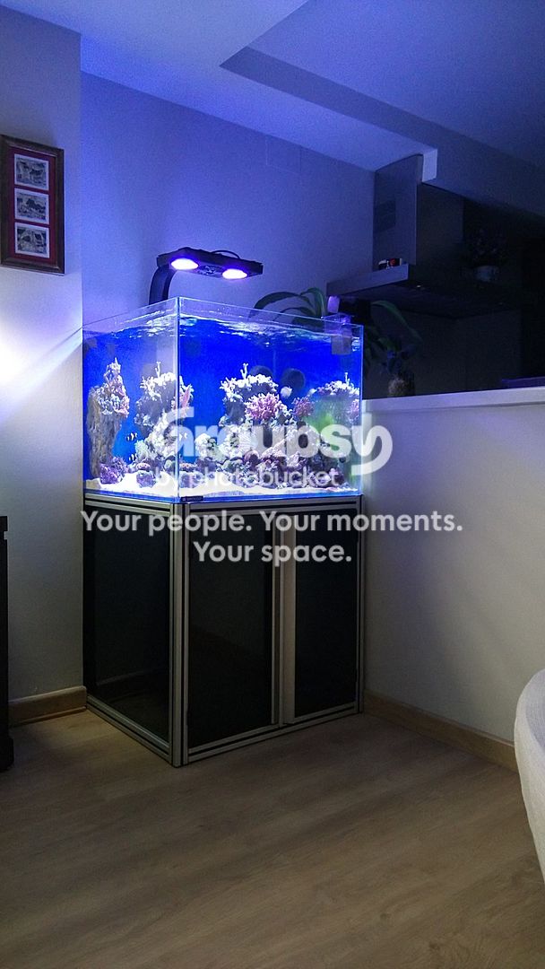 [TodoMarino.com] Ocean Cube