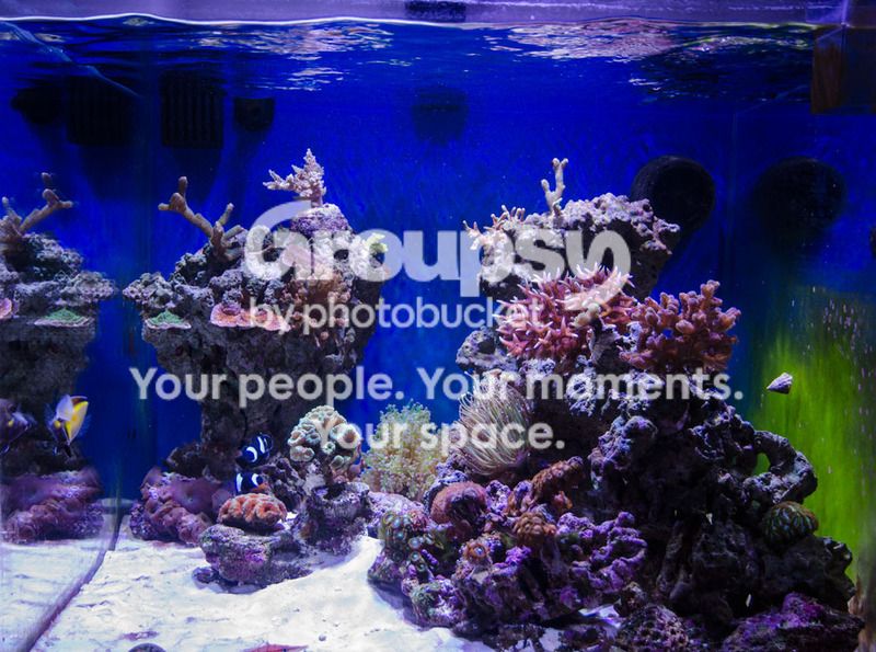 [TodoMarino.com] Ocean Cube