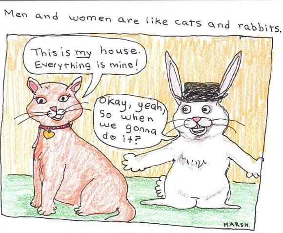 Cats and Rabbits