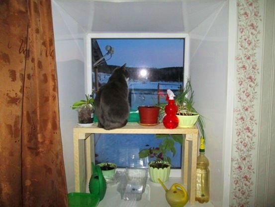 photo polka-rassada-02.2015_11_zpsi4szi7qb.jpg
