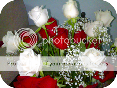 Urime 8 Marsin-dita nderkombetare e grave Roses