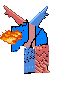 [PokeCommunity.com] My Art Gallery!!!