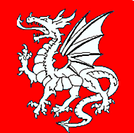 The White Dragon - An Universal Anglo-Saxon Symbol