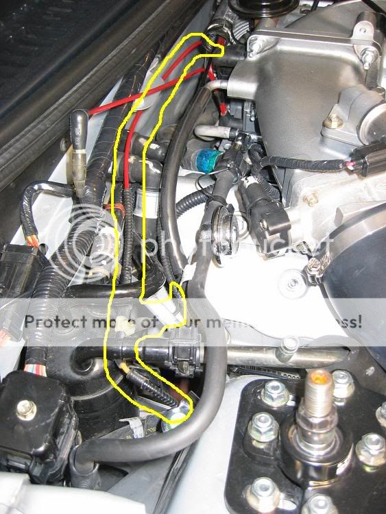 Need Help W/ Vacuum Lines | Mustang and Ford Performance Forums