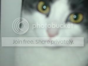Image hosting by Photobucket
