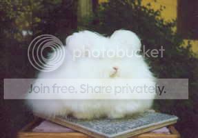 Image hosting by Photobucket