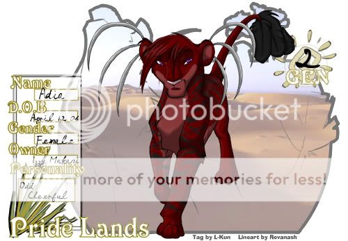 User Image