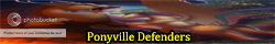 Ponyville Defenders banner